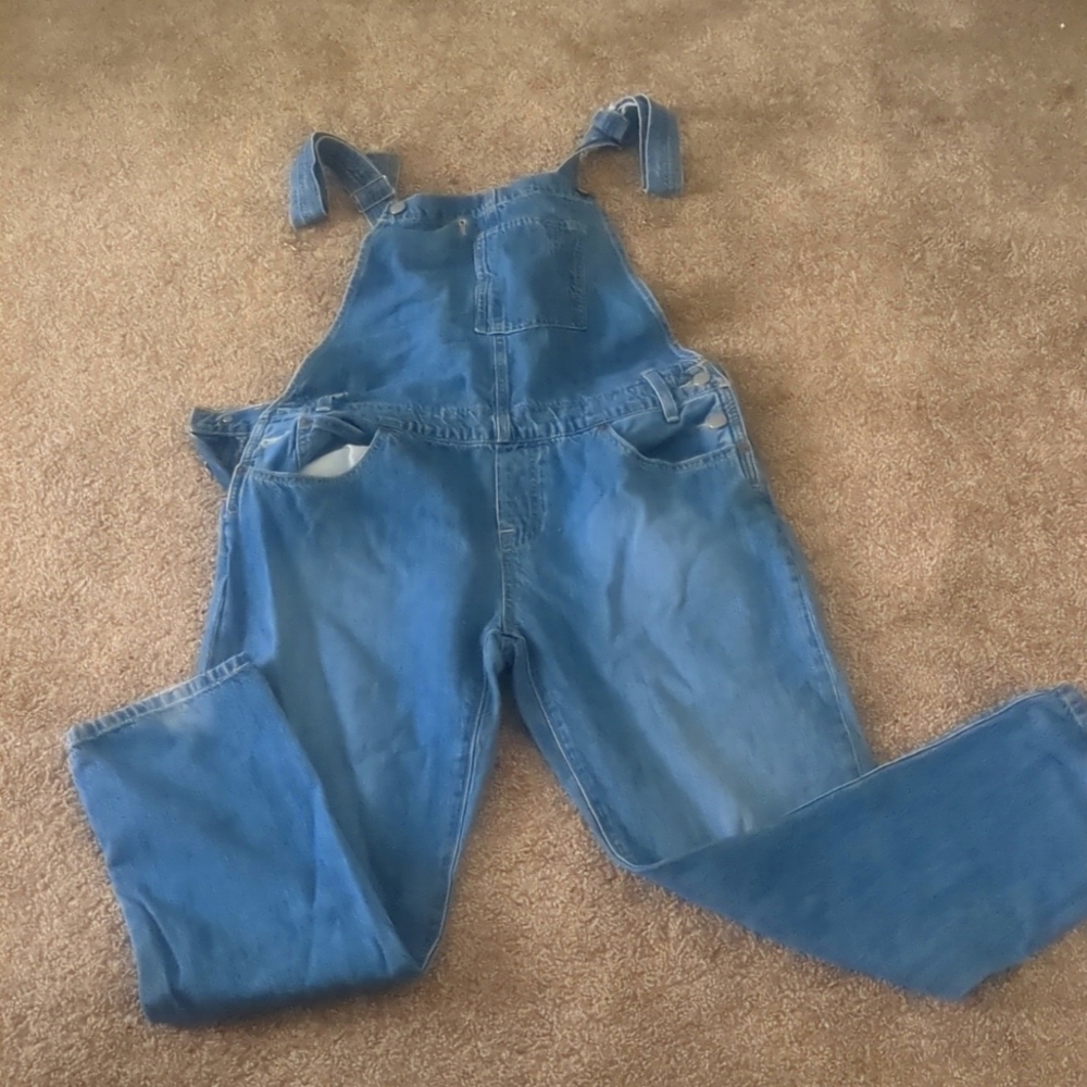 Levi's womens overalls